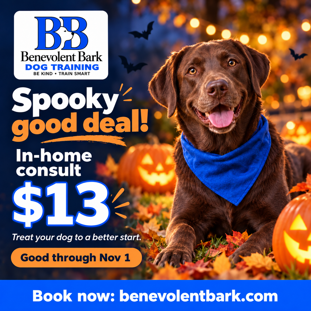 Halloween special flyer: chocolate lab in a blue bandana with pumpkins — $13 in-home consult