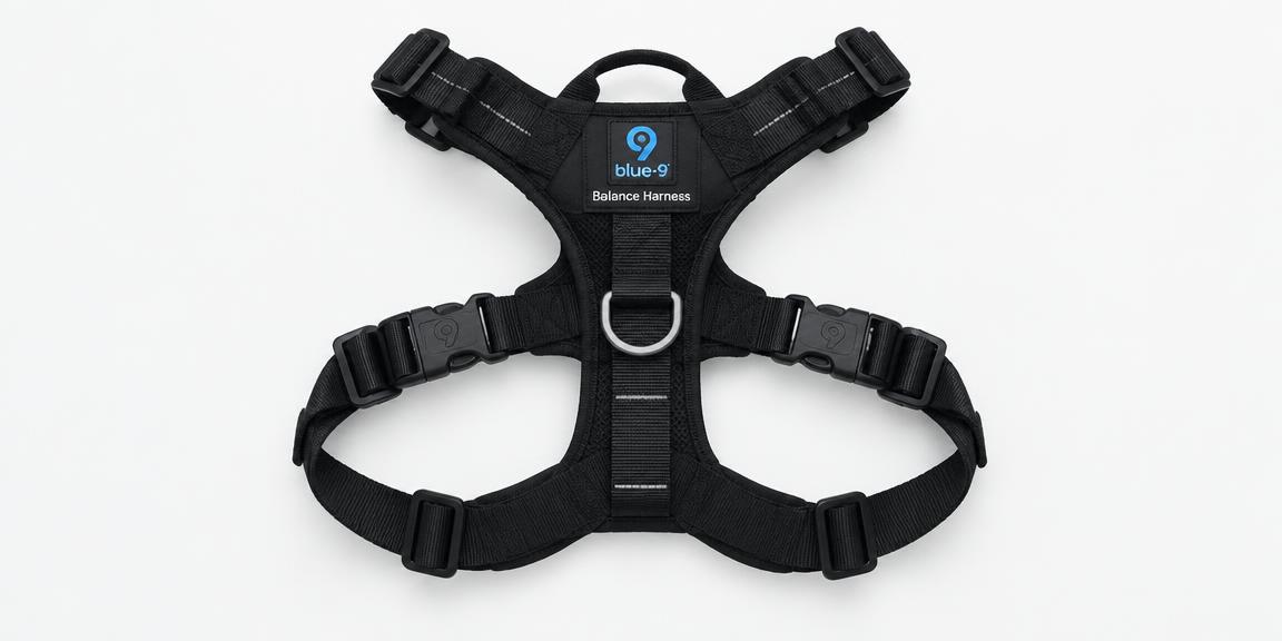 Balance Harness