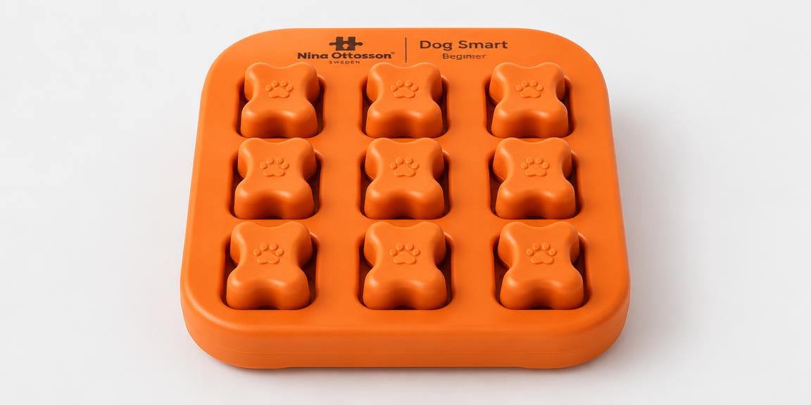 Dog Smart Treat Puzzle — Beginner (Level 1)