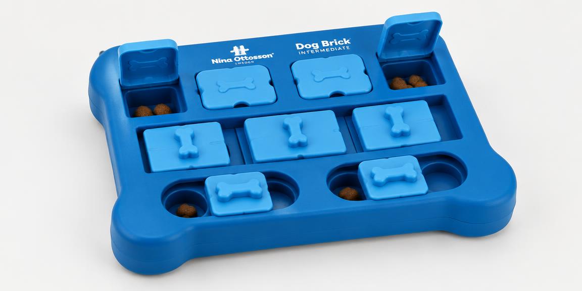 Dog Brick Treat Puzzle — Intermediate (Level 2)